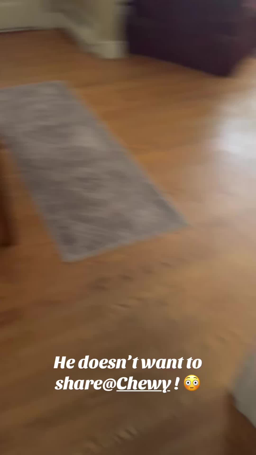 @lifewithduke2025