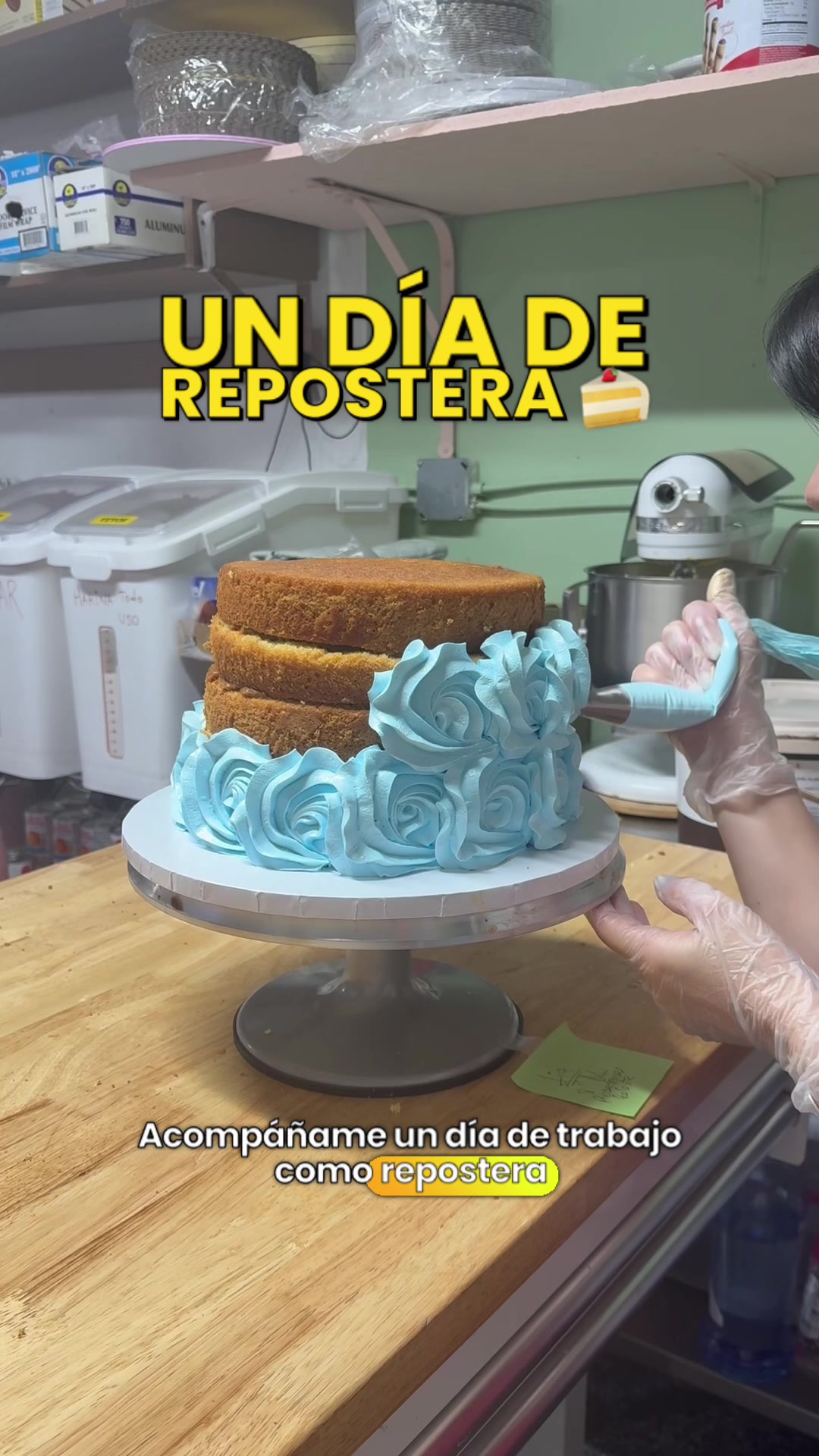 @karlita_villabake