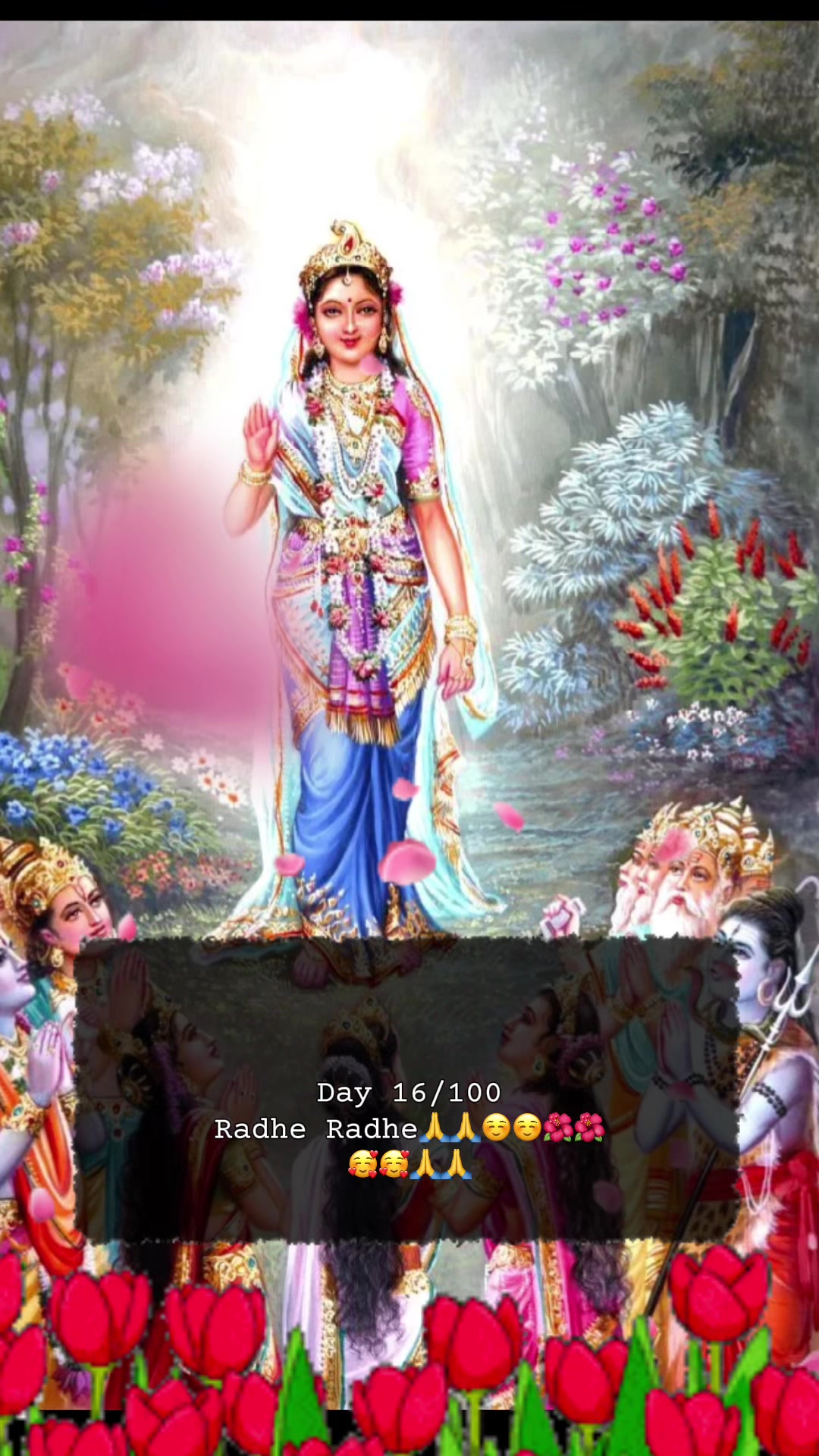 @RadheKrishna🦚🦚🙏🙏