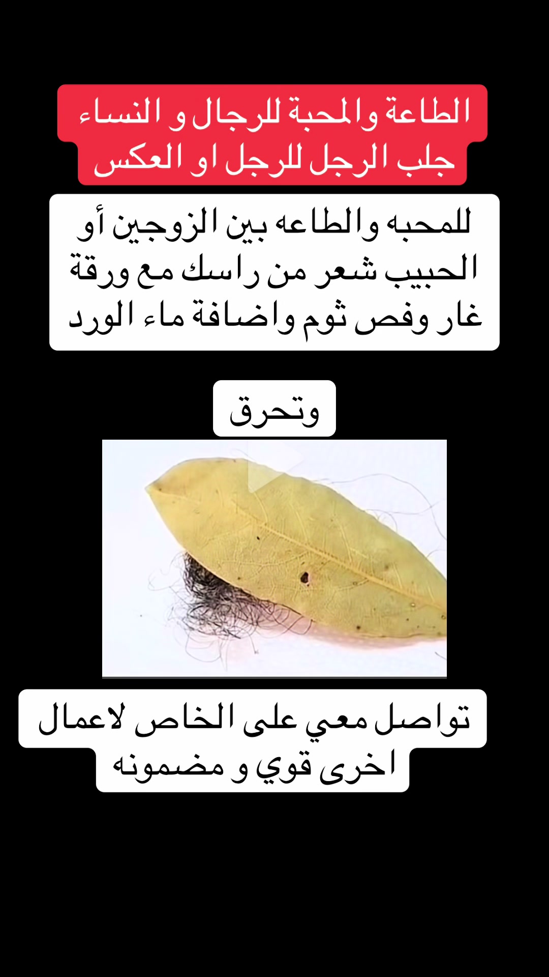 @الدكتور الروحاني موسى السوسي