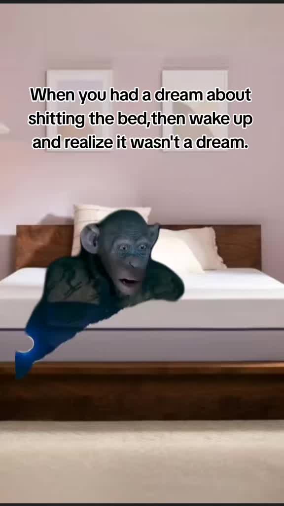 @funnystuff