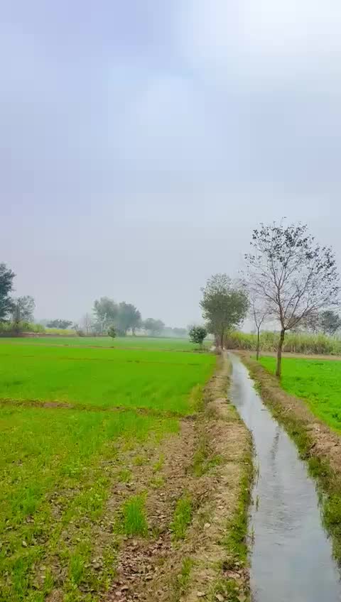 @Aaqib Dhillon