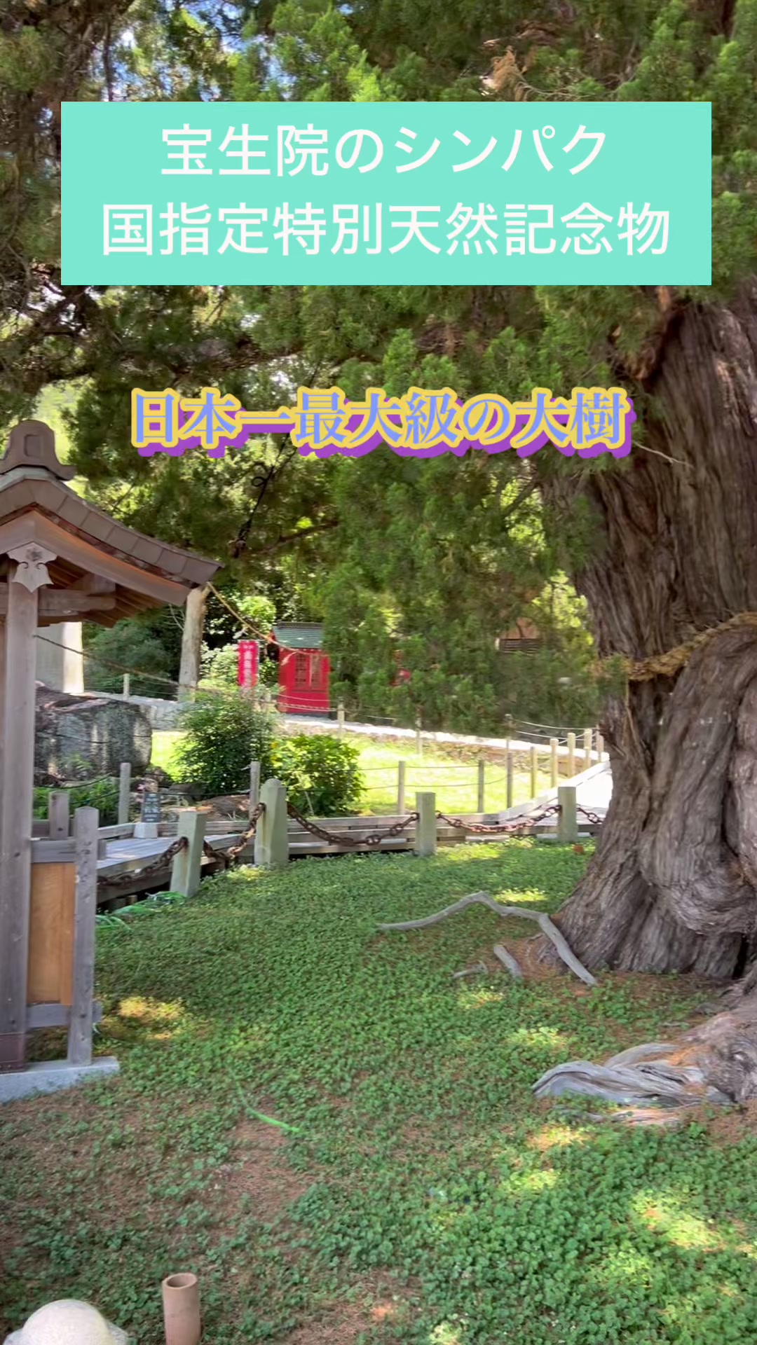 @ラッキーチャーム.マリッジ｜婚活・結婚相談所