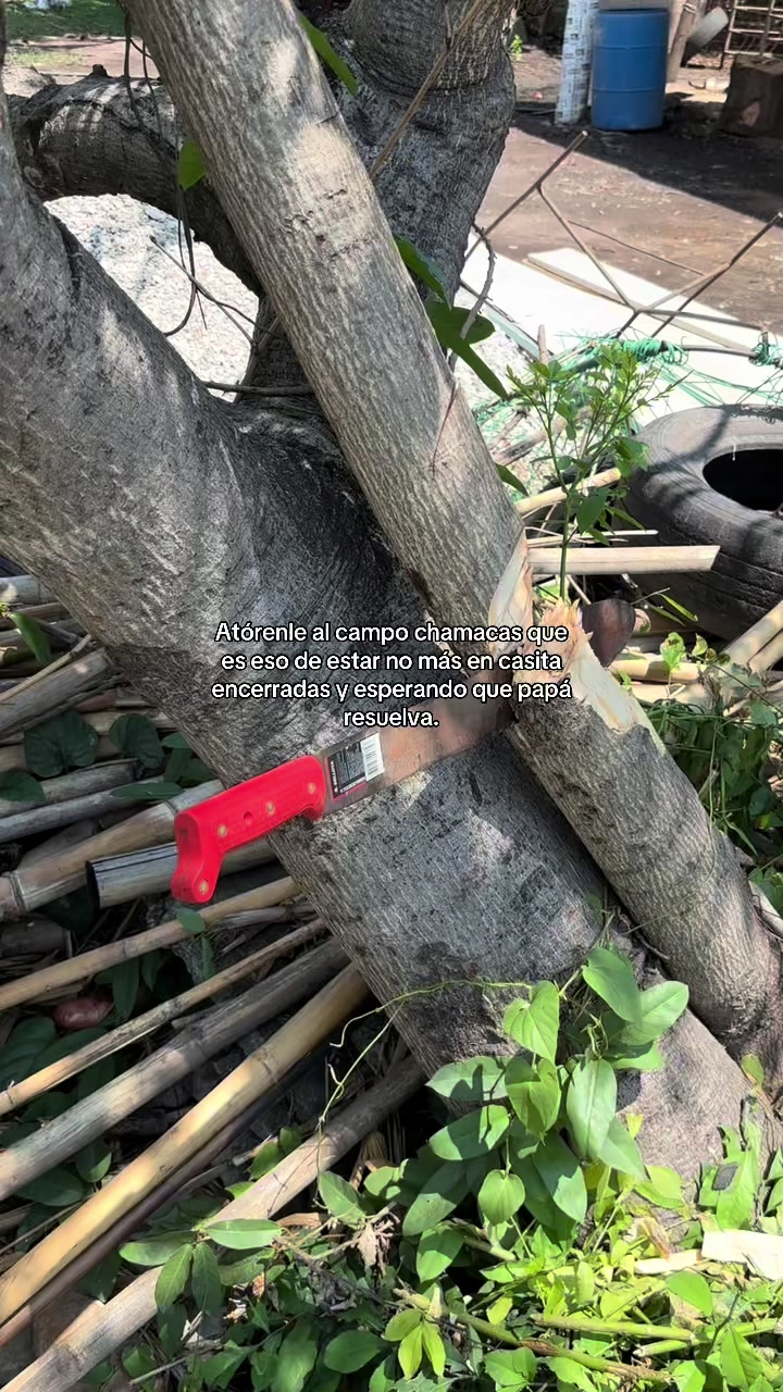 @𝐀𝐥𝐞𝐜𝐱𝐚 𝐂𝐡á𝐯𝐞𝐳