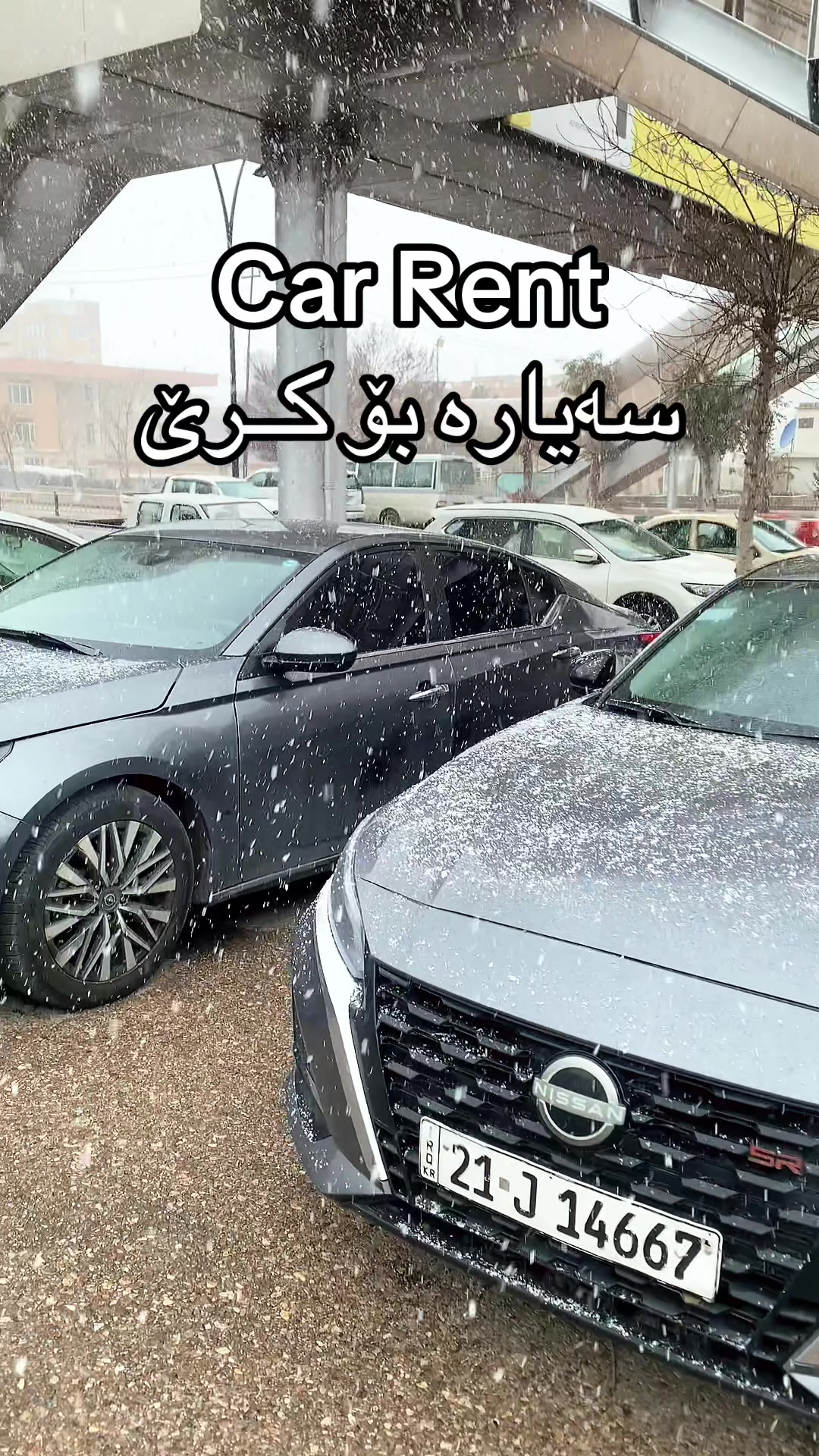 @Car For Rent 🚘سەیارە بۆ کـرێ