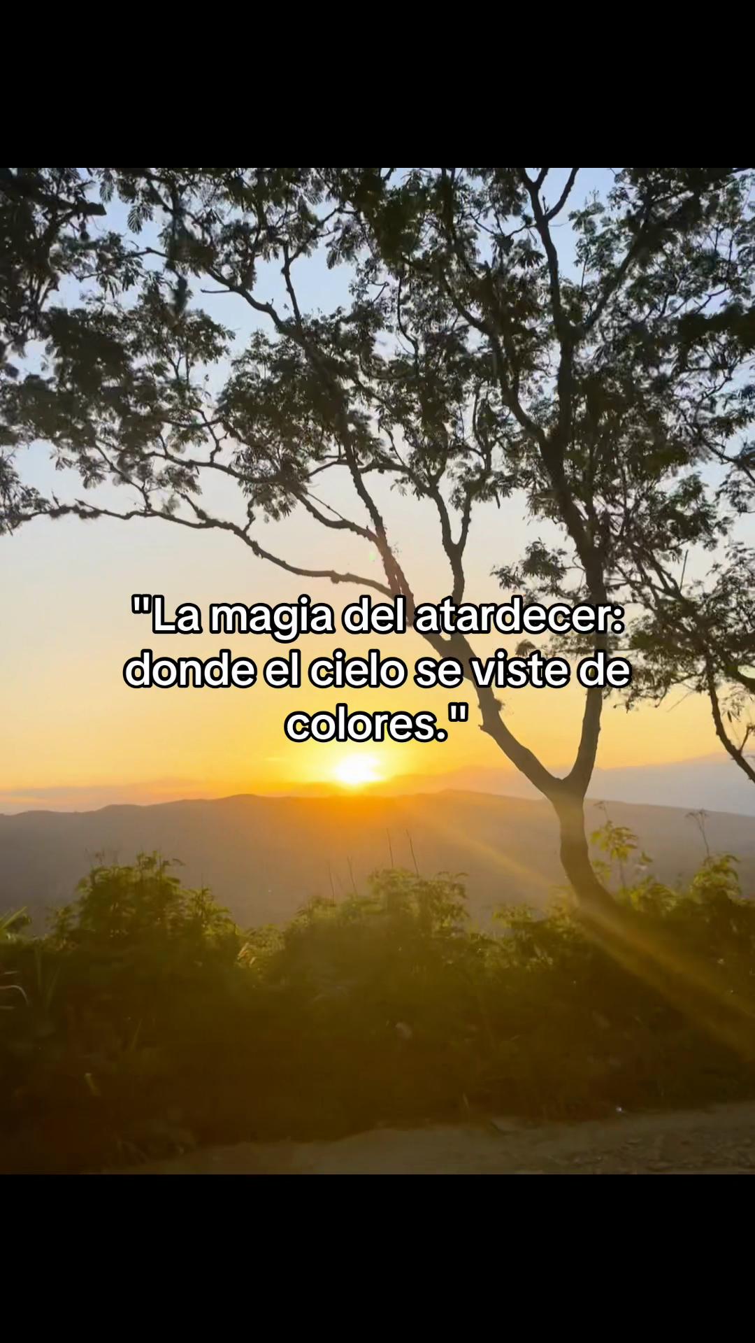 @Jefferson Sequera