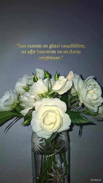@Gulshen.A