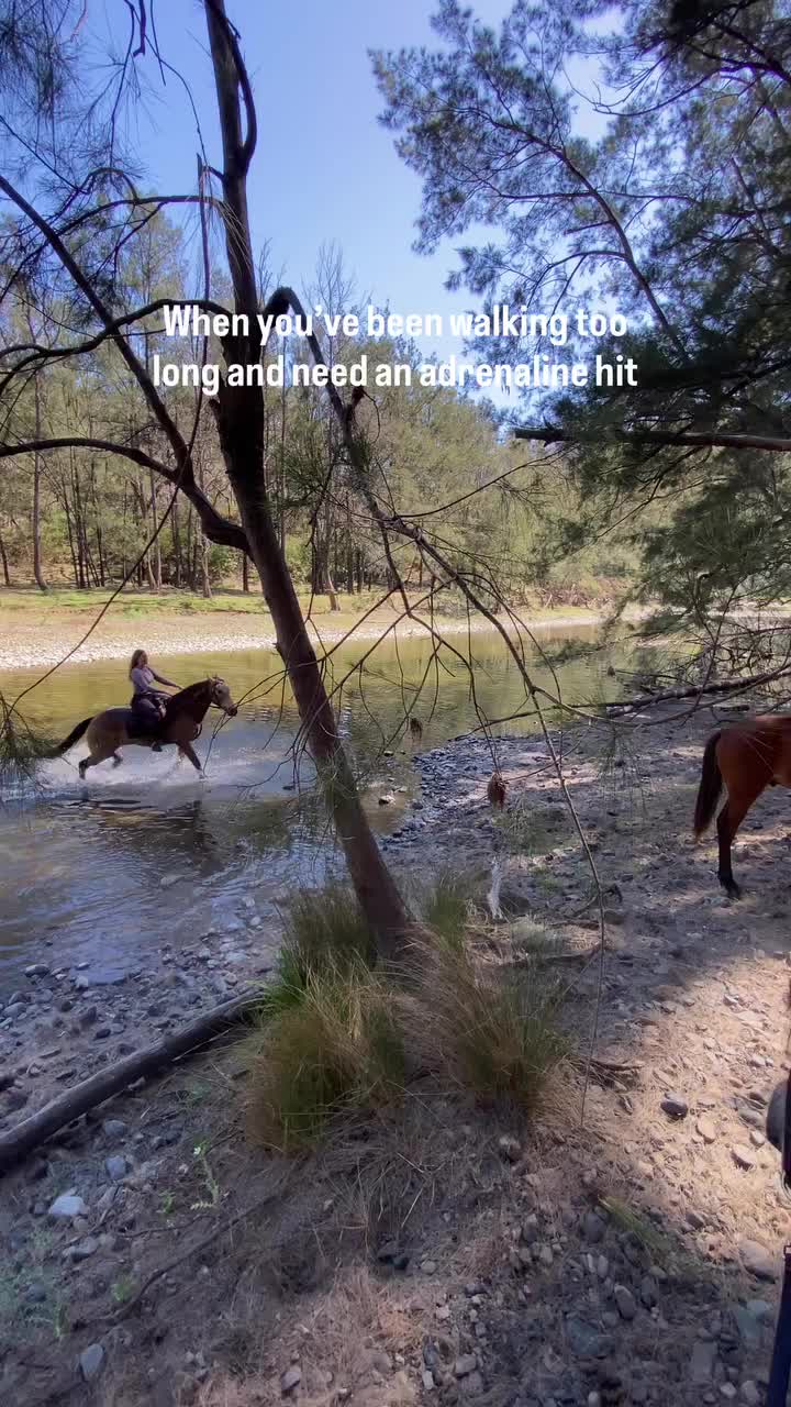 @ThunderGallops