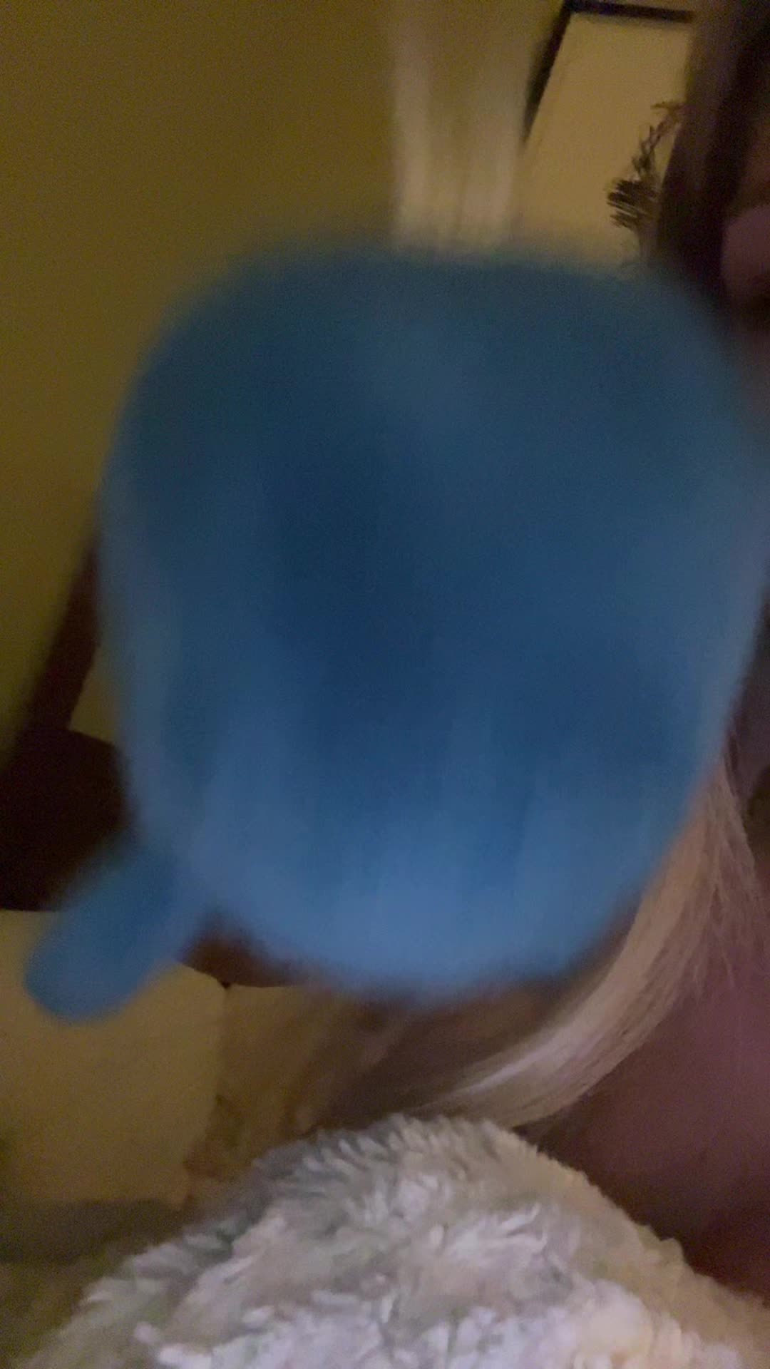 @🐶
