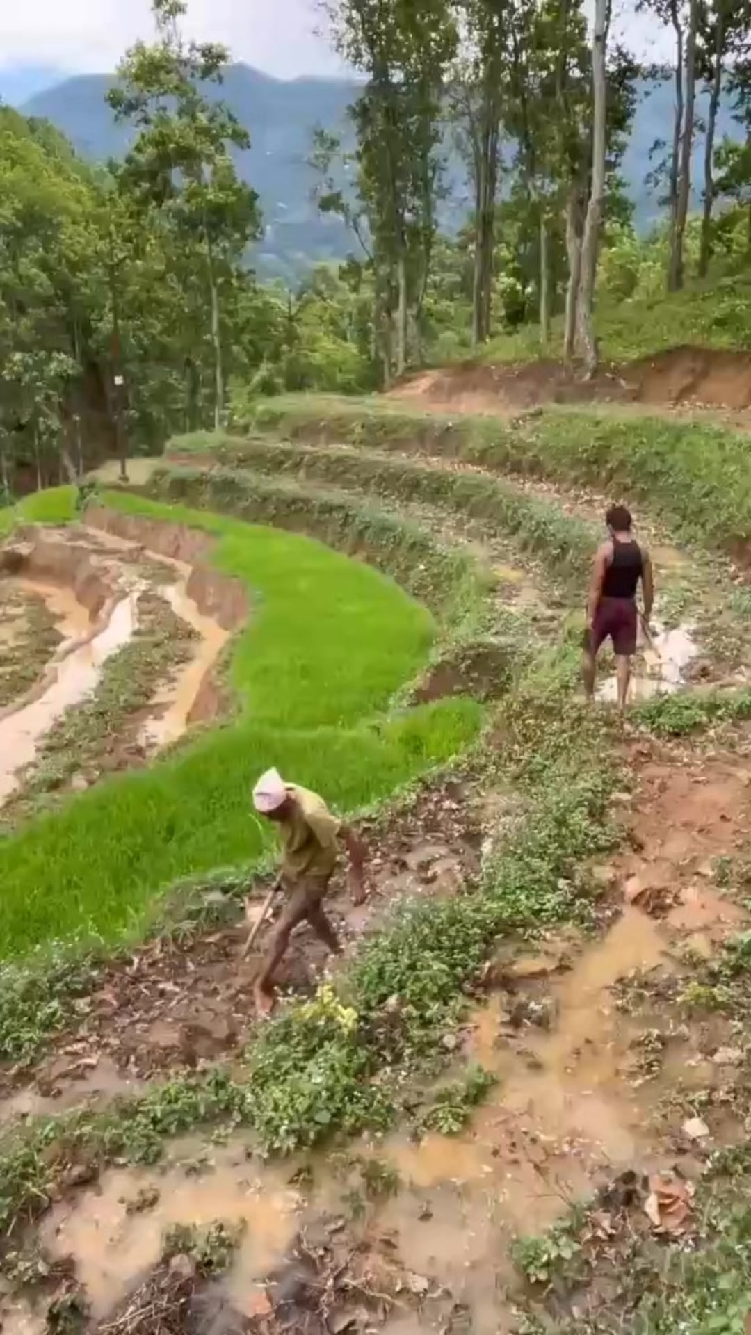 @धनकुमारी अर्याल