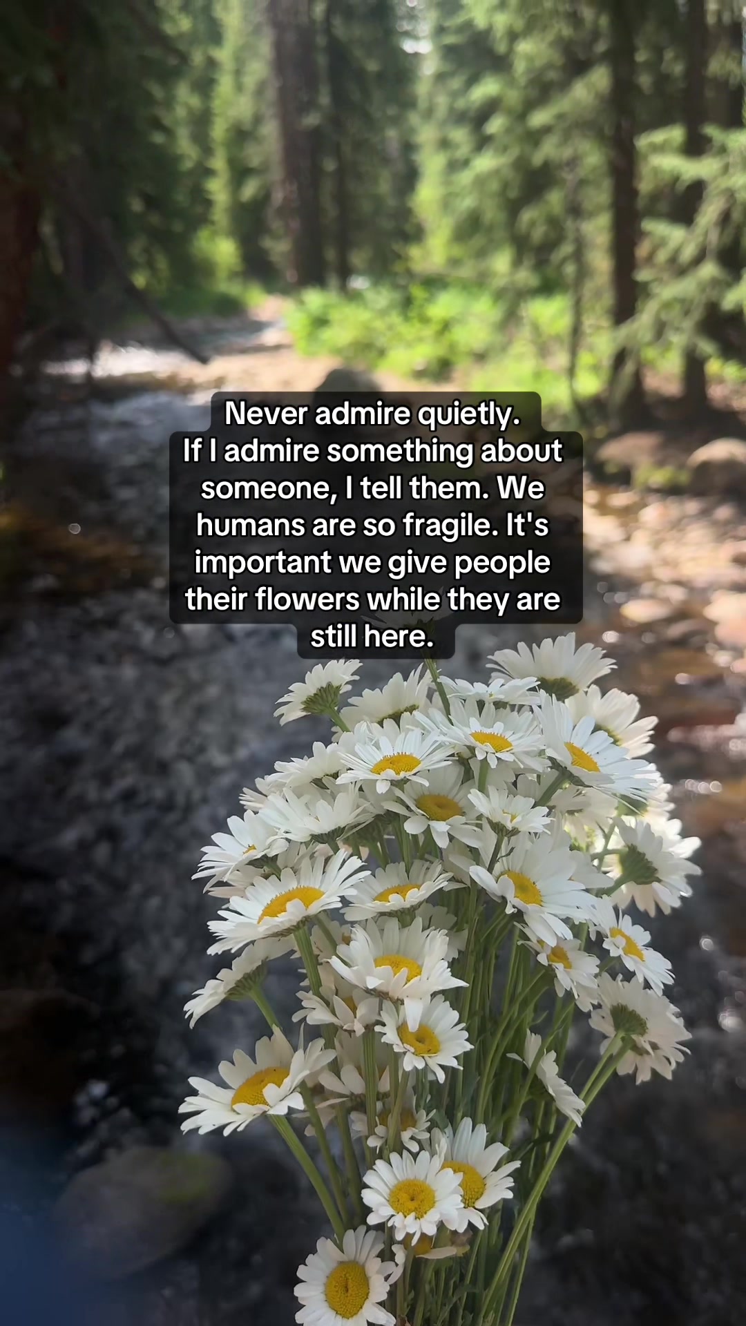 @HolisticHealingThoughts