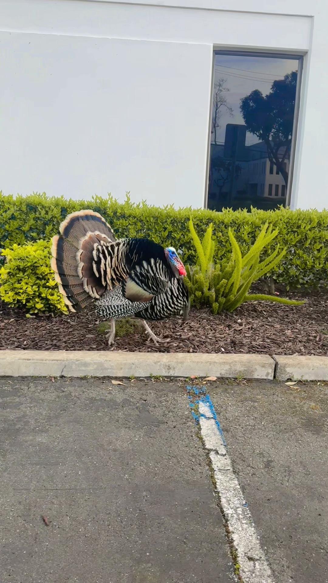 @𝓘𝓝𝓓𝓔𝓡 𝓛𝓞𝓥𝓔 𝓙𝓗𝓐𝓝𝓓