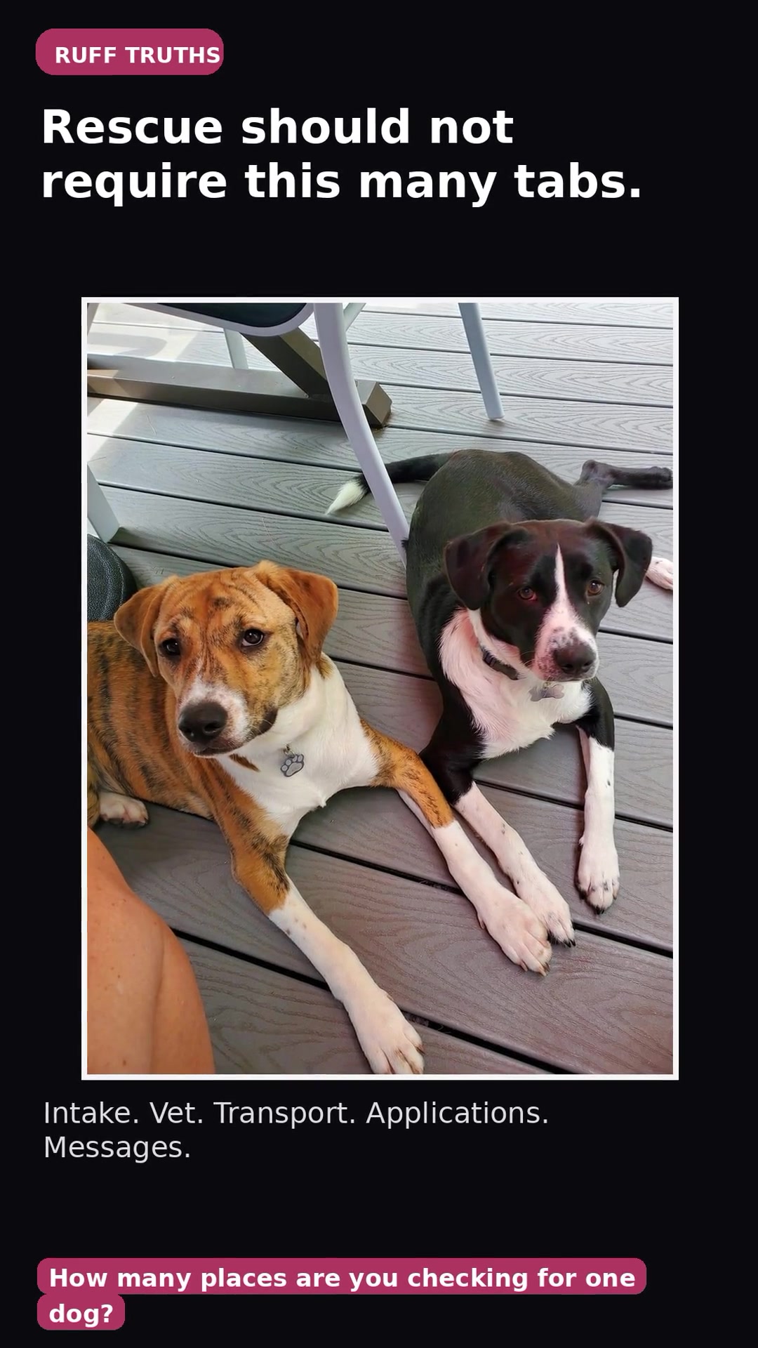 @Paws From Afar Rescue