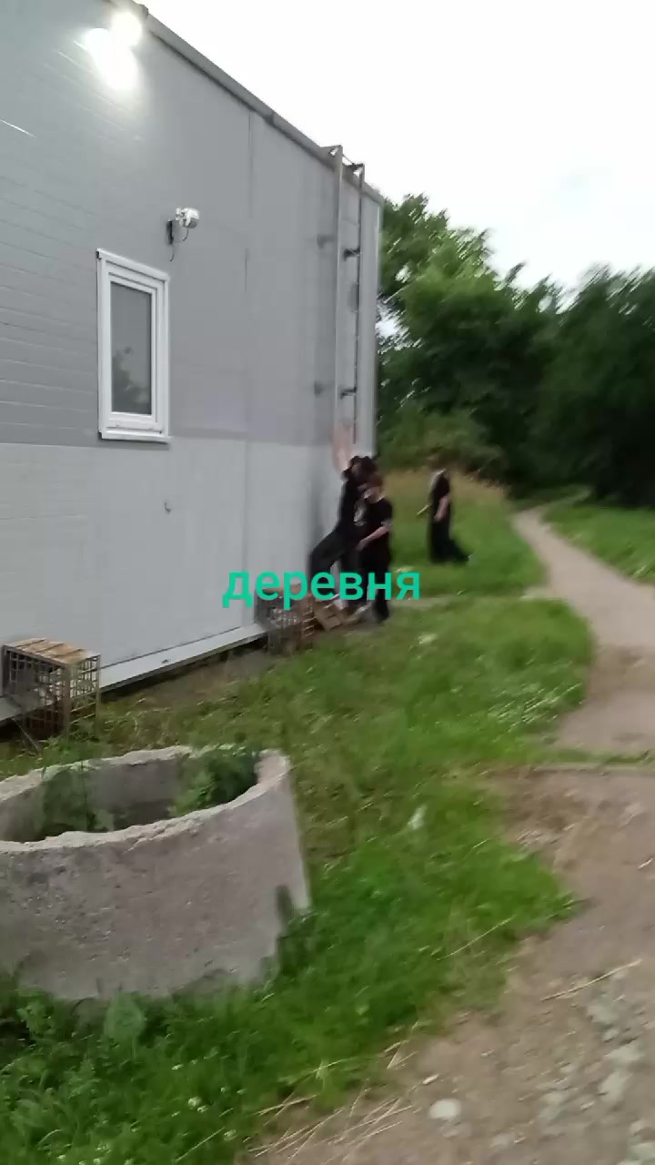 @кабан кузя