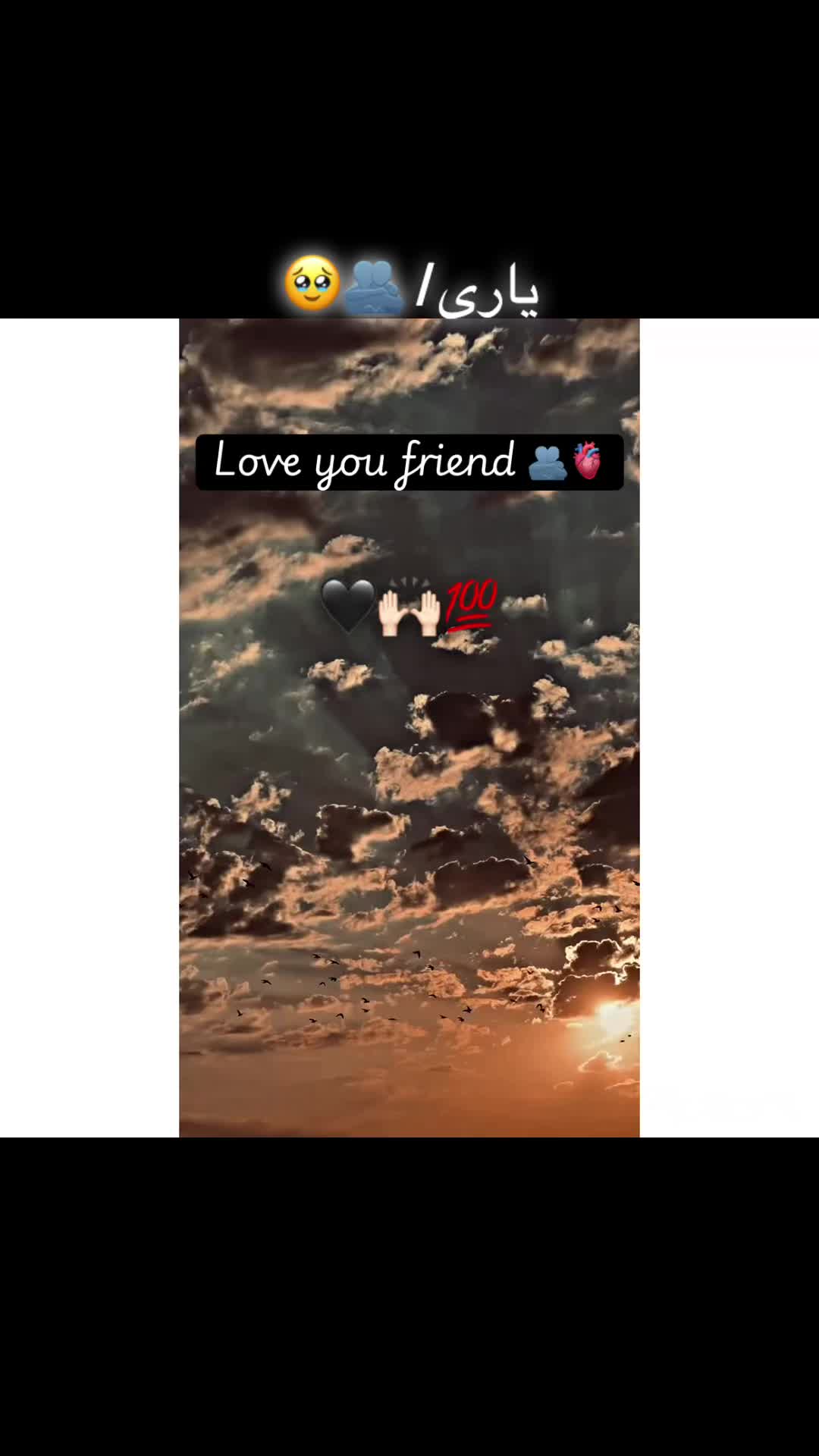 @صاحب 🍁🏴&zwj;☠️🚩