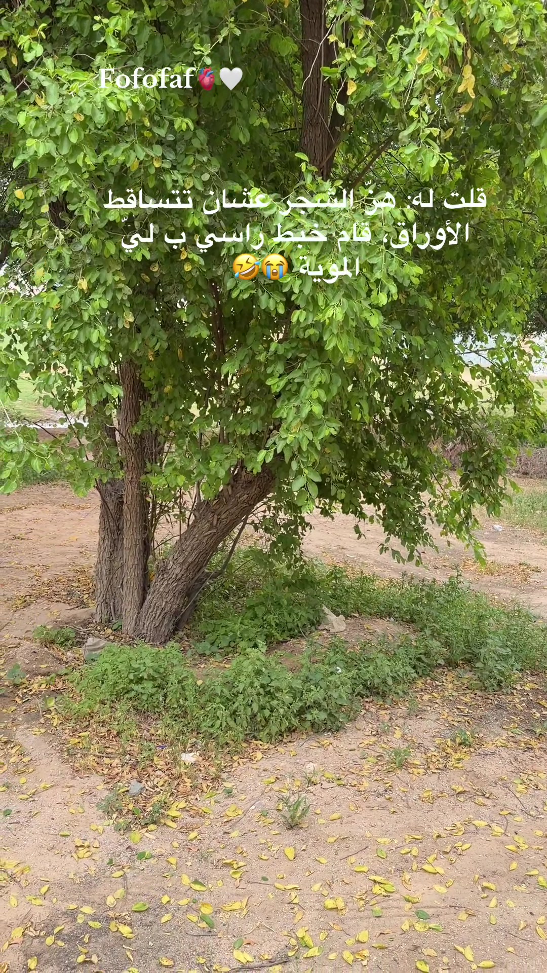@Fofofas🫀🤍