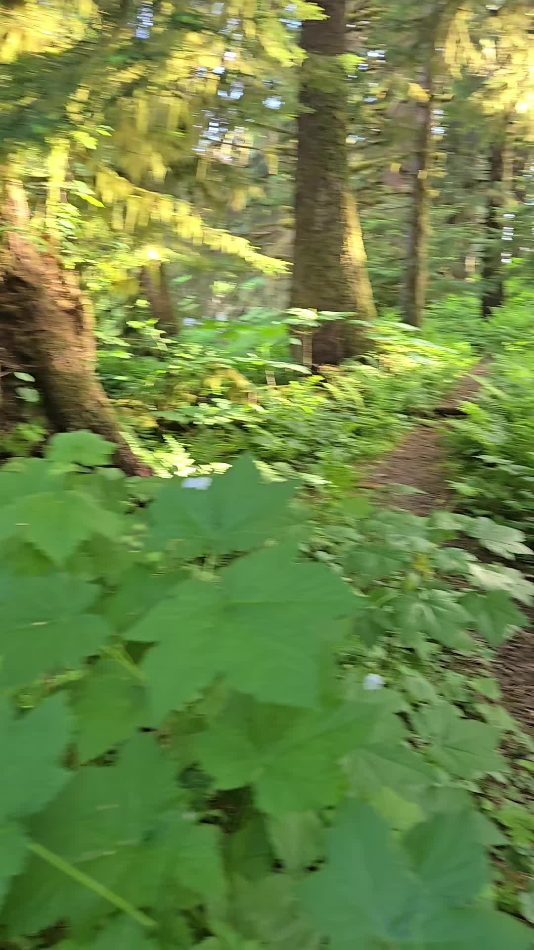 @Alaska's jim stone living wild