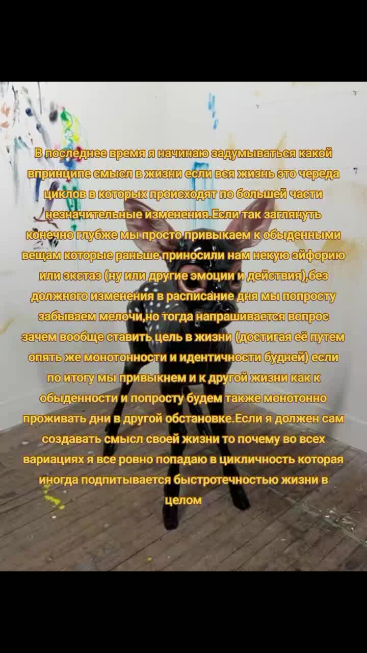 @🍭🌌🦄$₽𝙰𝚌𝙴 𝚌𝙰𝚝🧁👾💫
