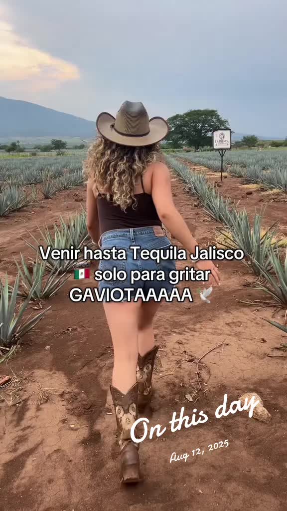 @Nataly MV