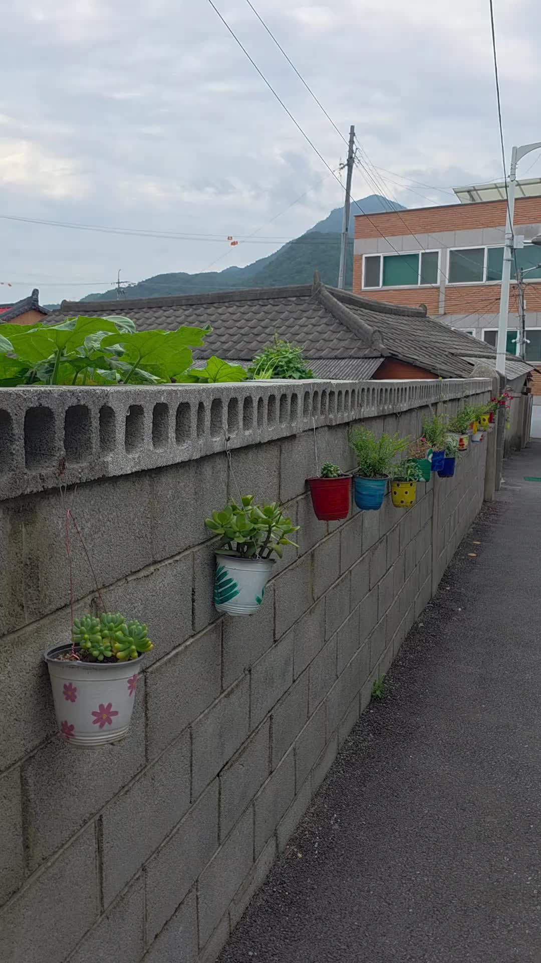 @유튜브 "정선사람들" 안용현
