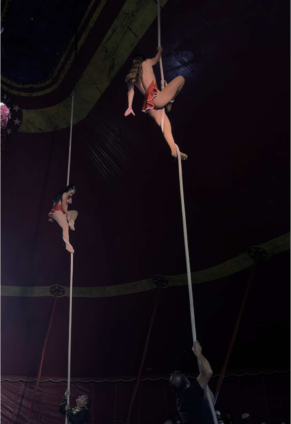 @circus.chloe