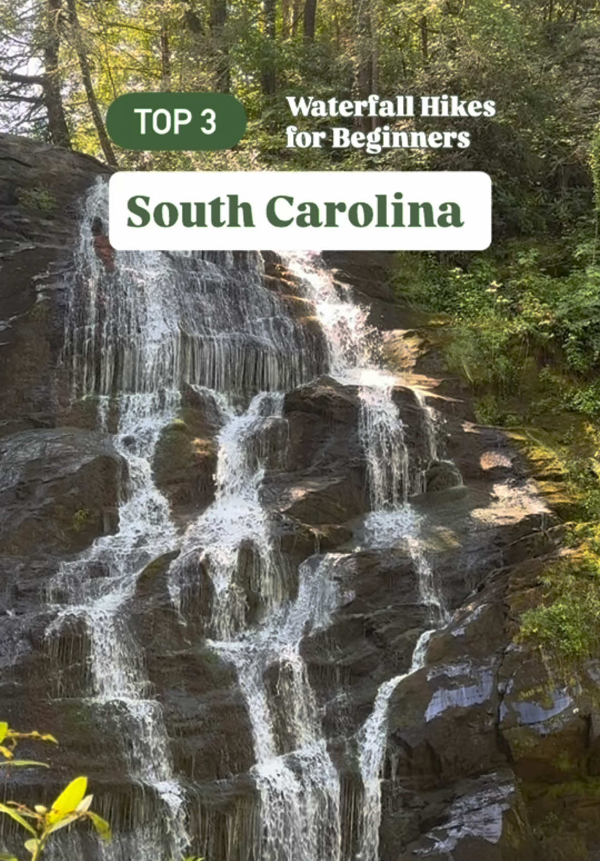 @South Carolina 7