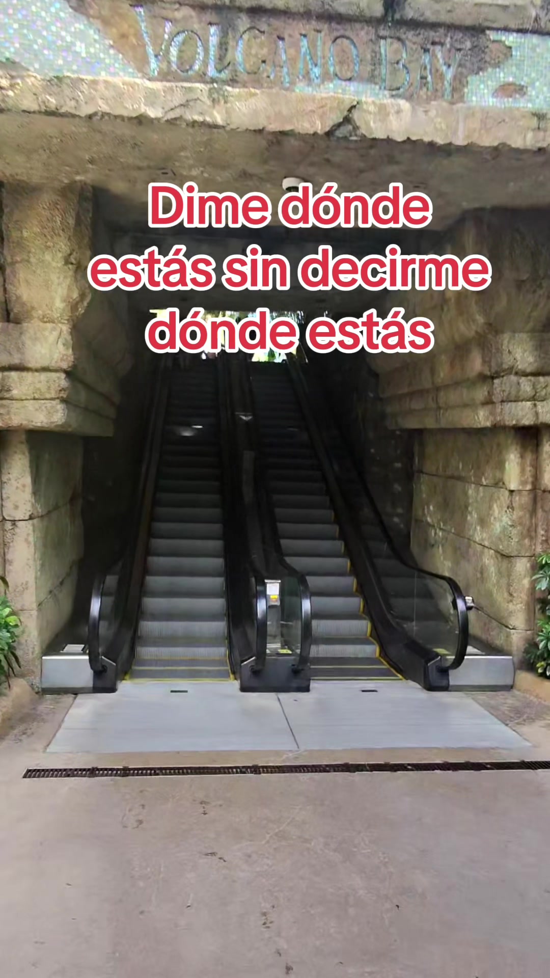 @steven
