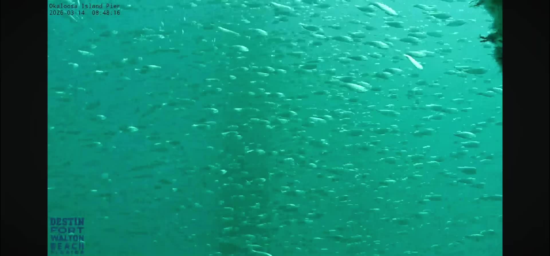 @OkaloosaIslandPier