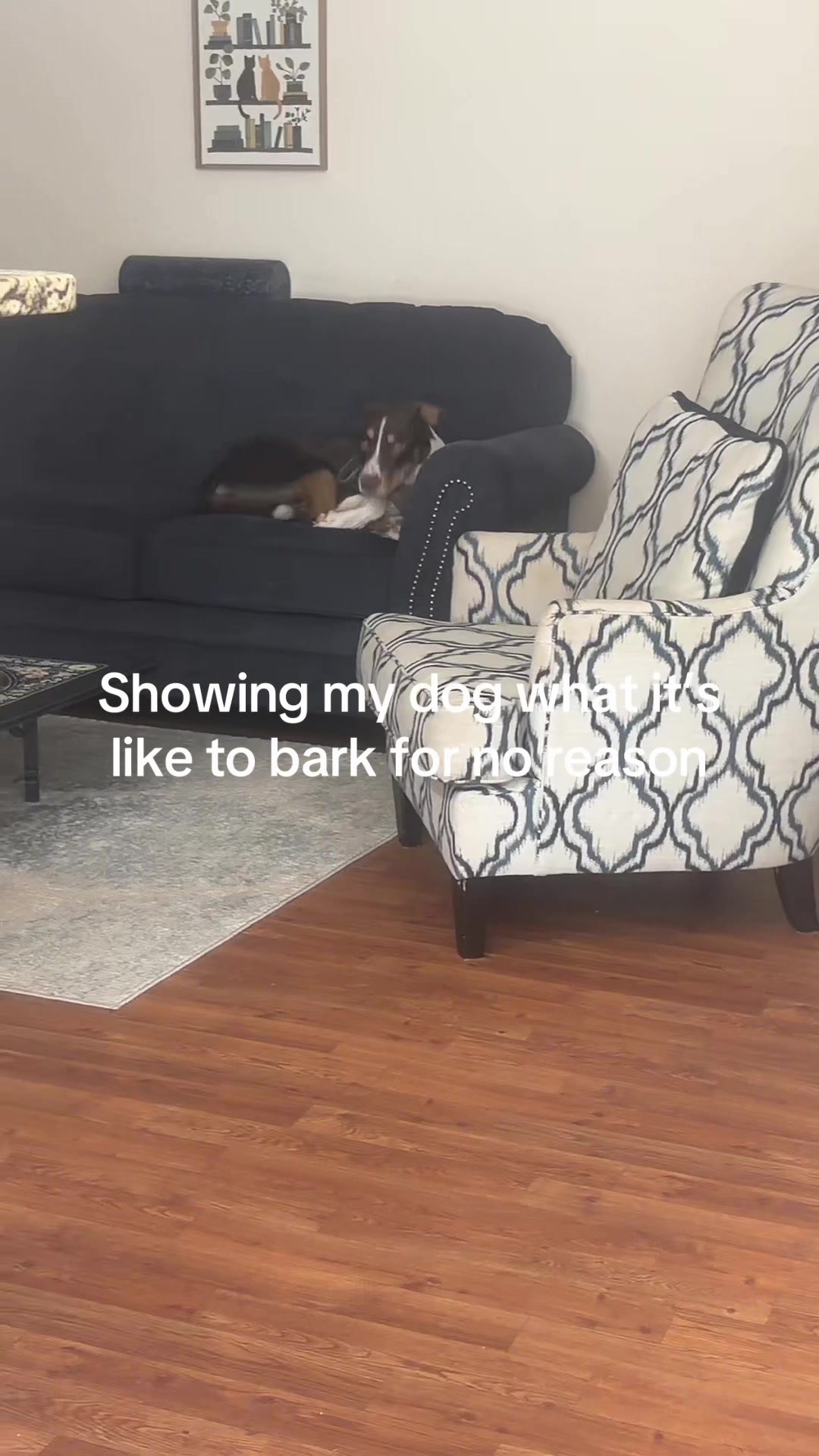 @Stihl1801