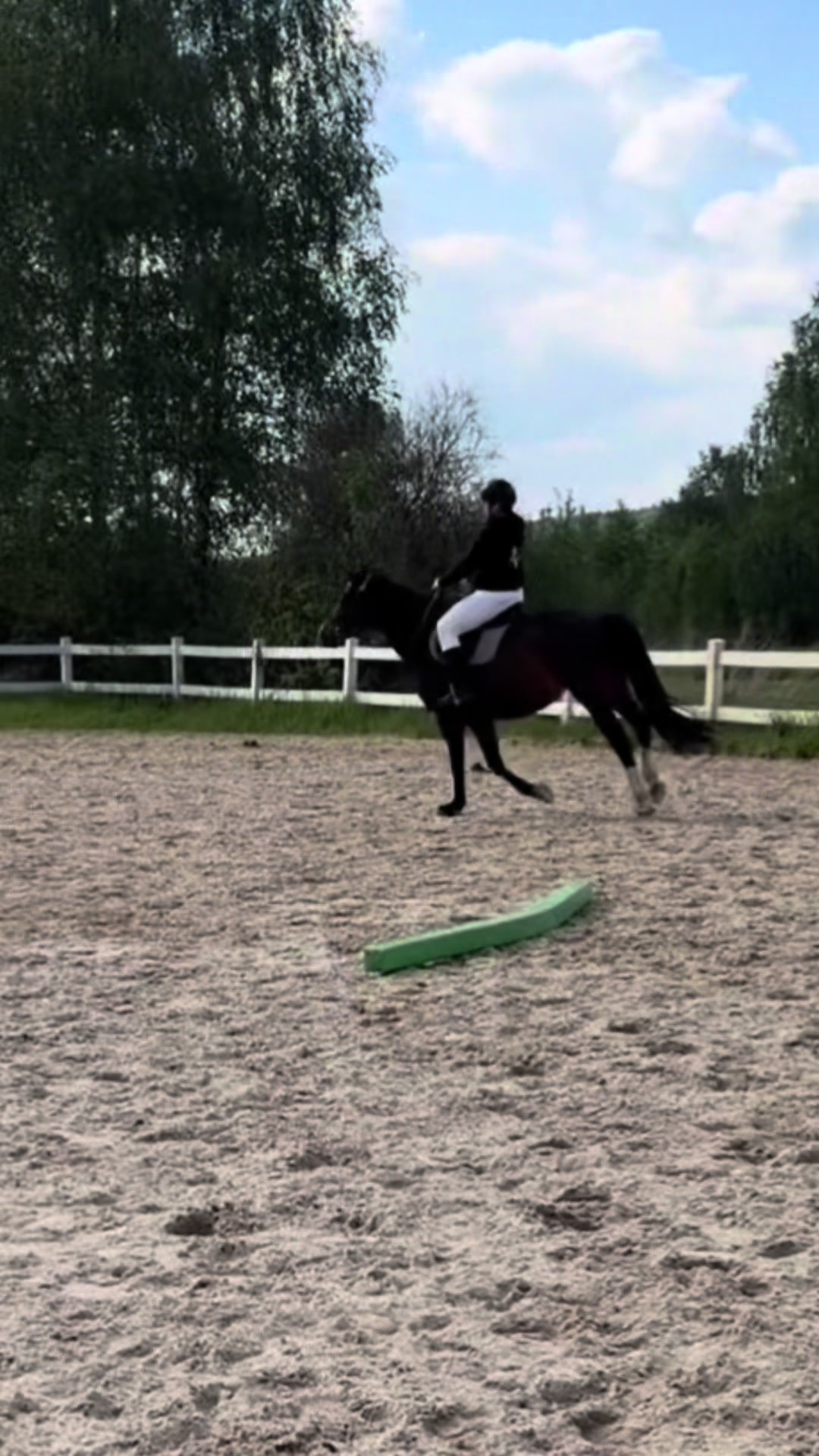 @Acrodance_horses