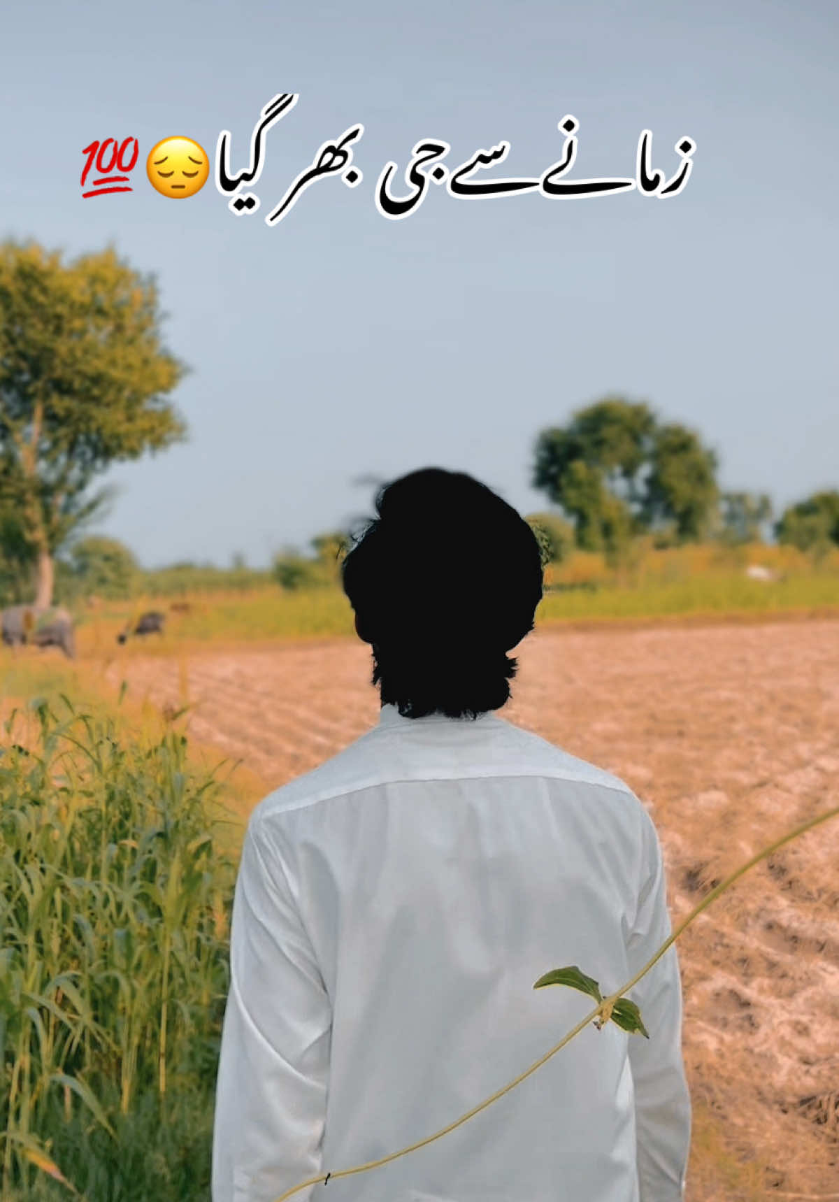@Adeel.Mughal.جٹ🥂🖤
