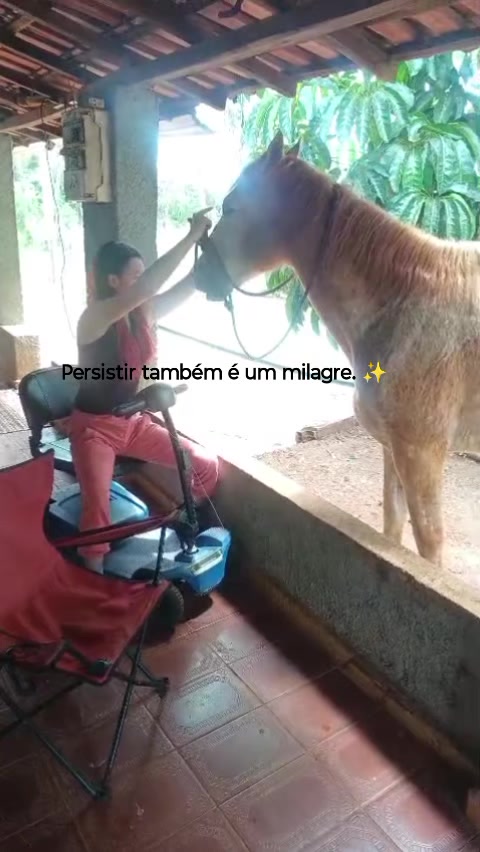 @Débora and Belinha