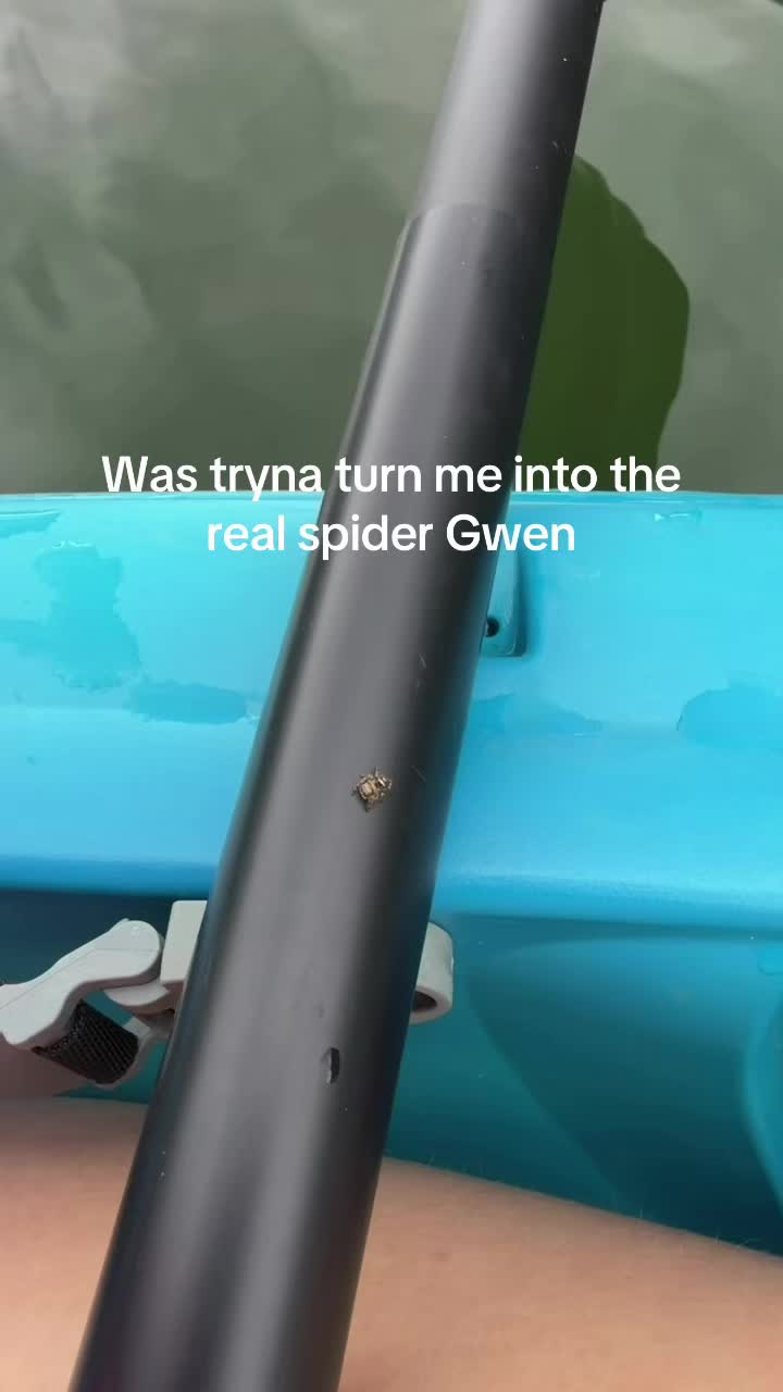@Gwenyth S