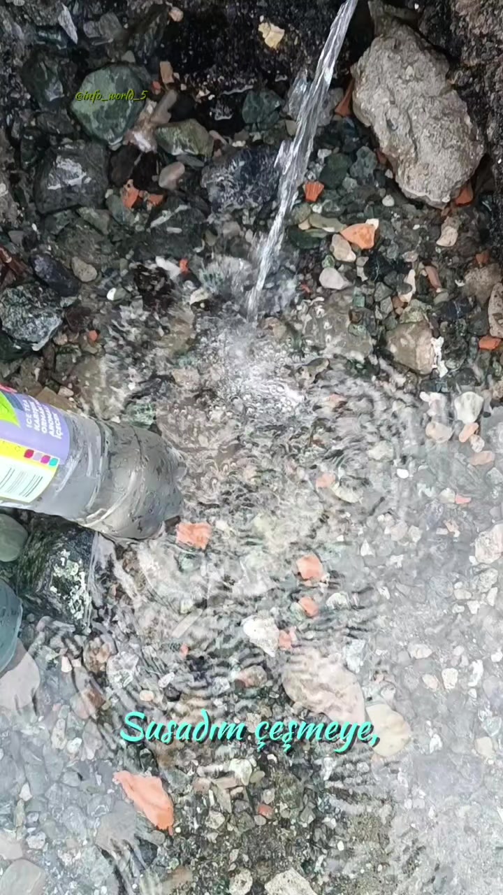 @Mustafa yıldız