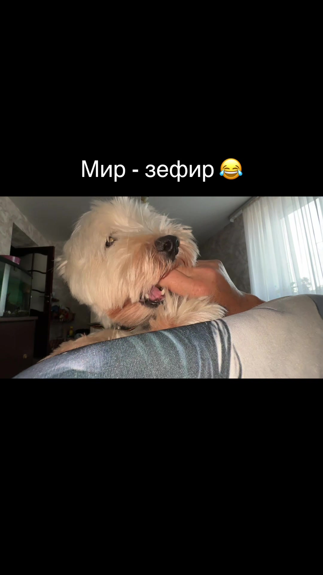 @Анастасия Чернявская.