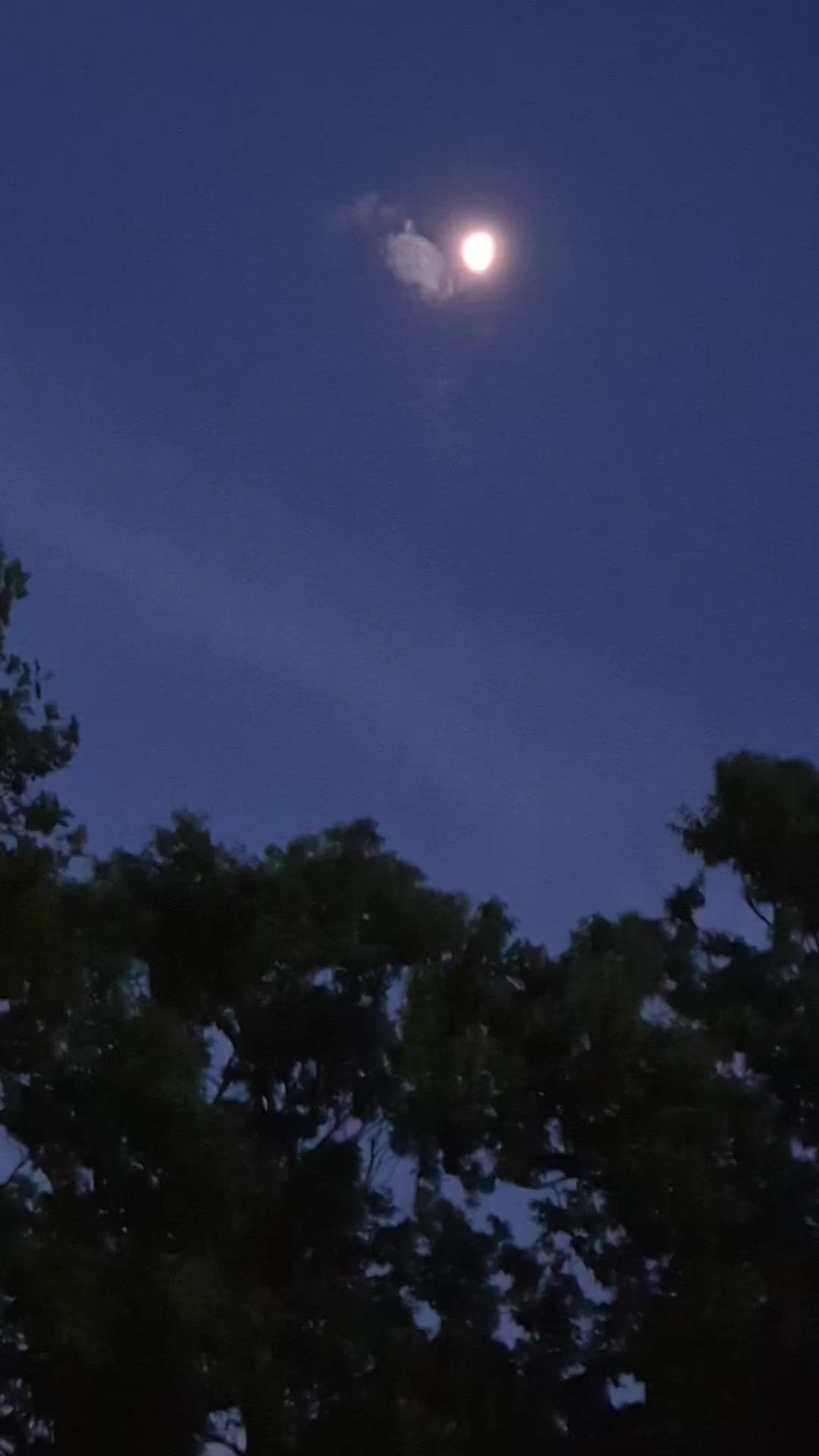 @El Rocío de Dios 🇪🇨