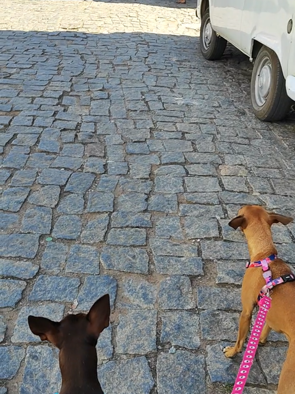 @Belinha e tiamara