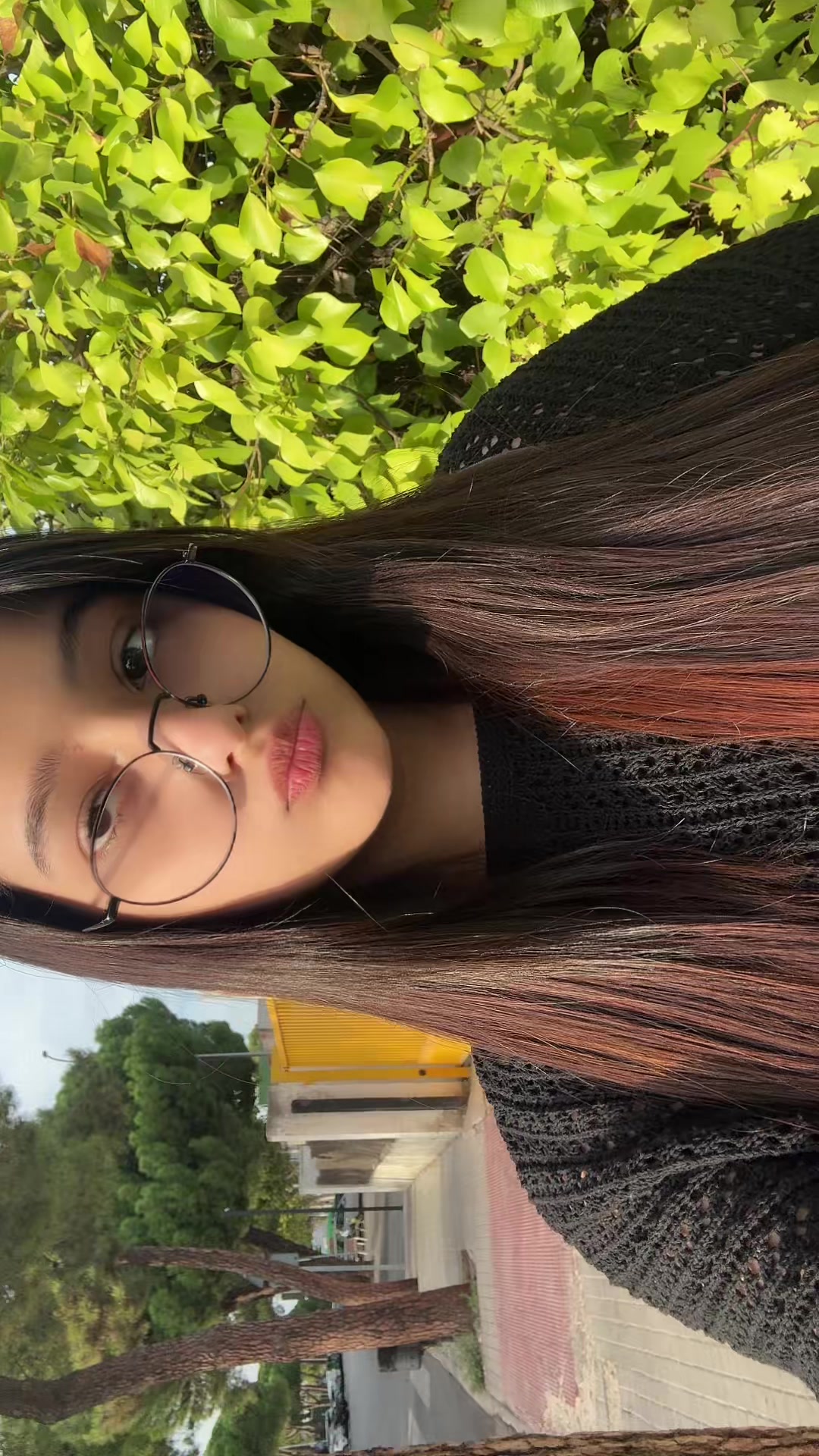 @Rehio88