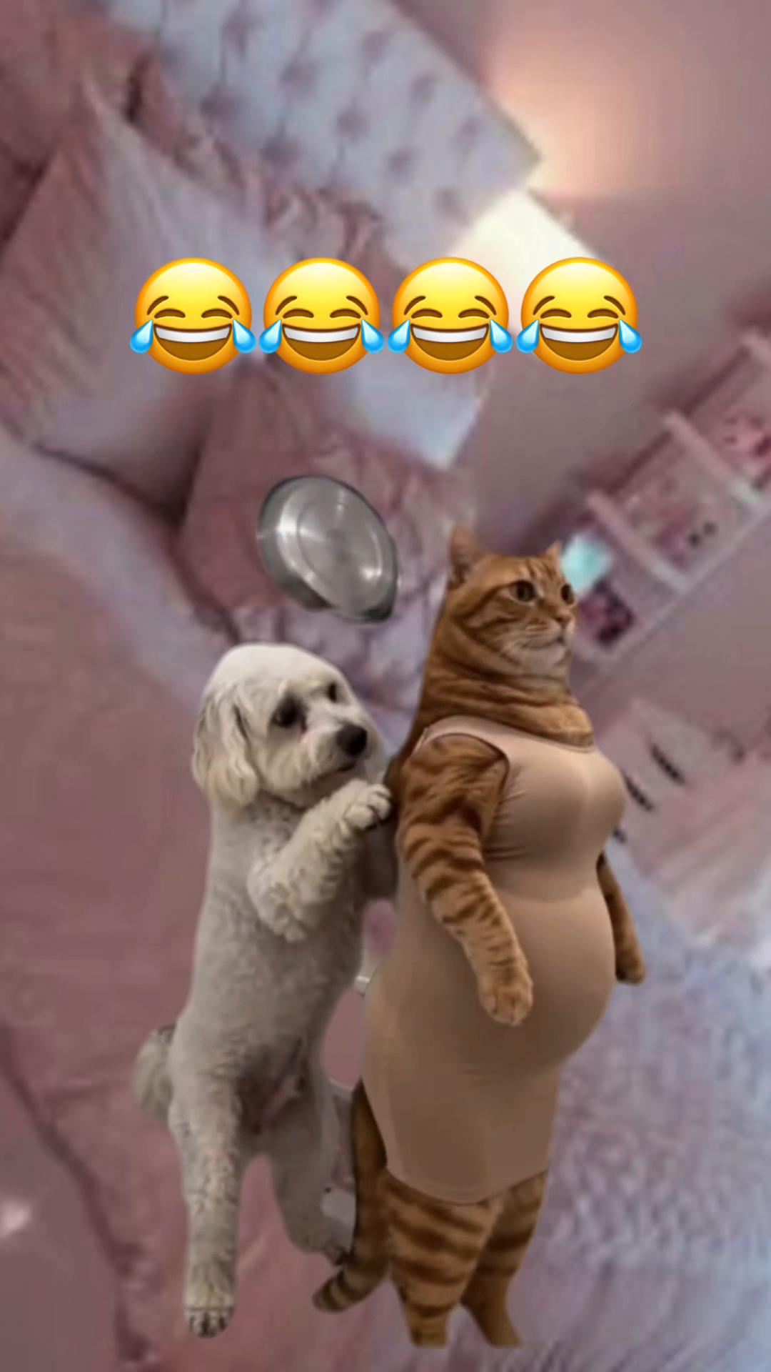 @Sinaloense42