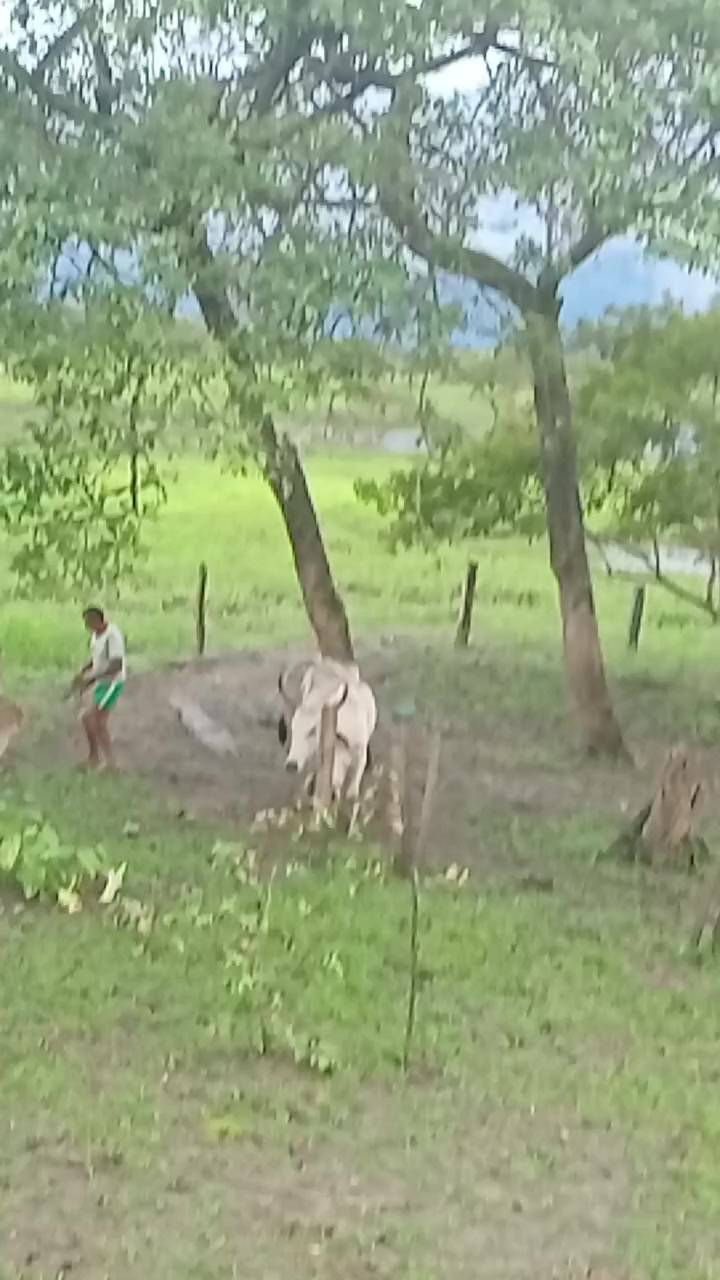 @luiswayasi.