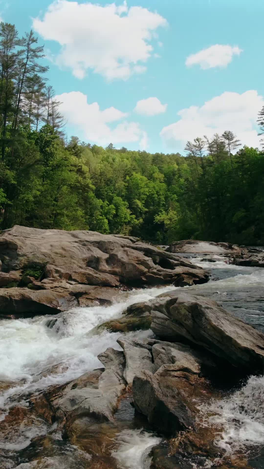 @Wander North Georgia