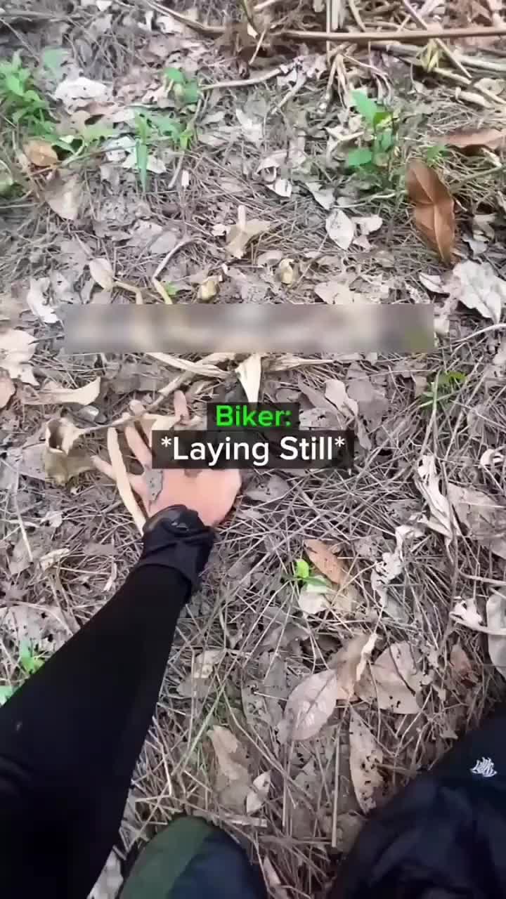 @Big Buck