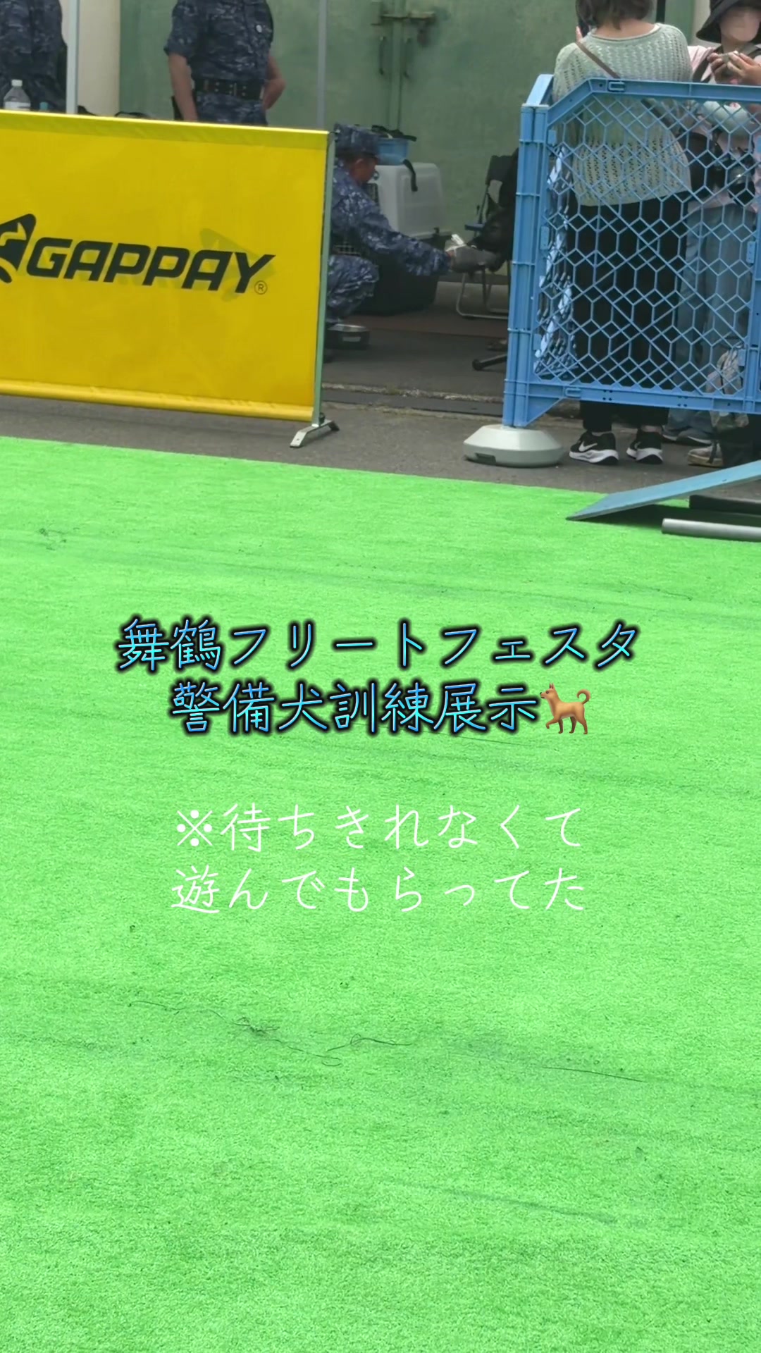 @鰆【さわら】