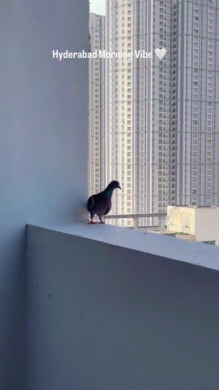 @ðððŒð» ððžðœðœðŒâ