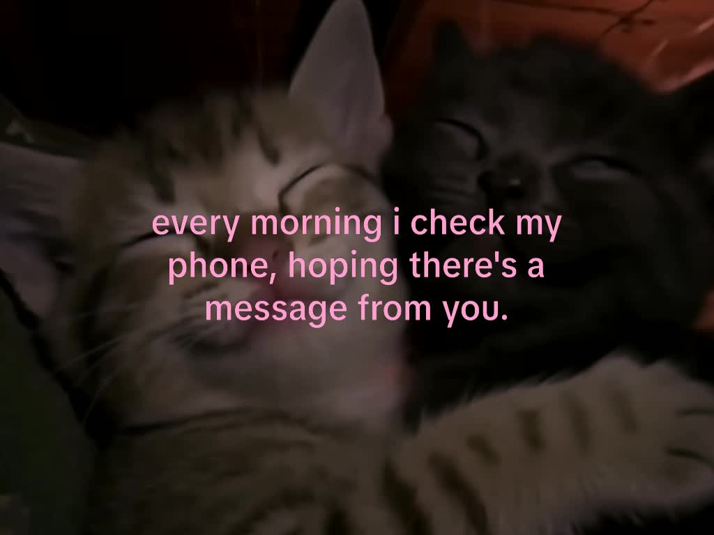@mond