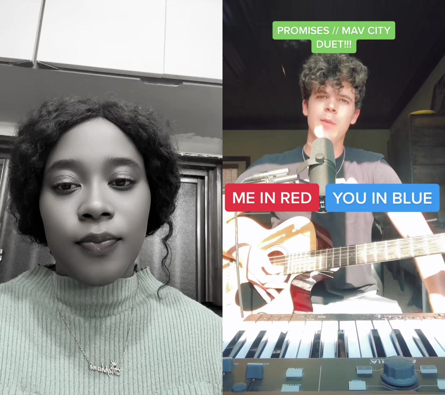 @HarmonyVibesByFanessa