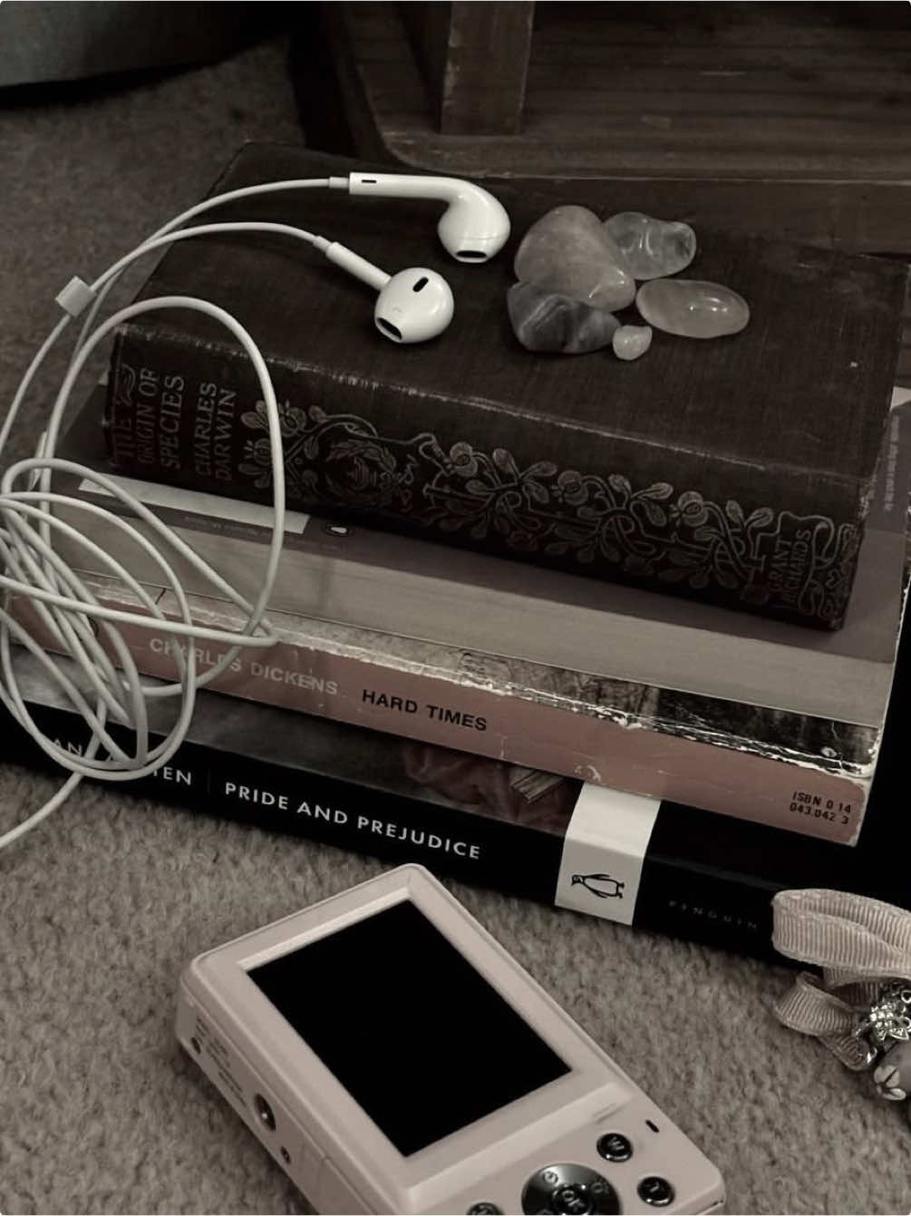 @⟡ ݁ . 𝐉𝐚𝐟𝐢𝐚 ⋆.˚ᥫ᭡.ִֶָ𓂃
