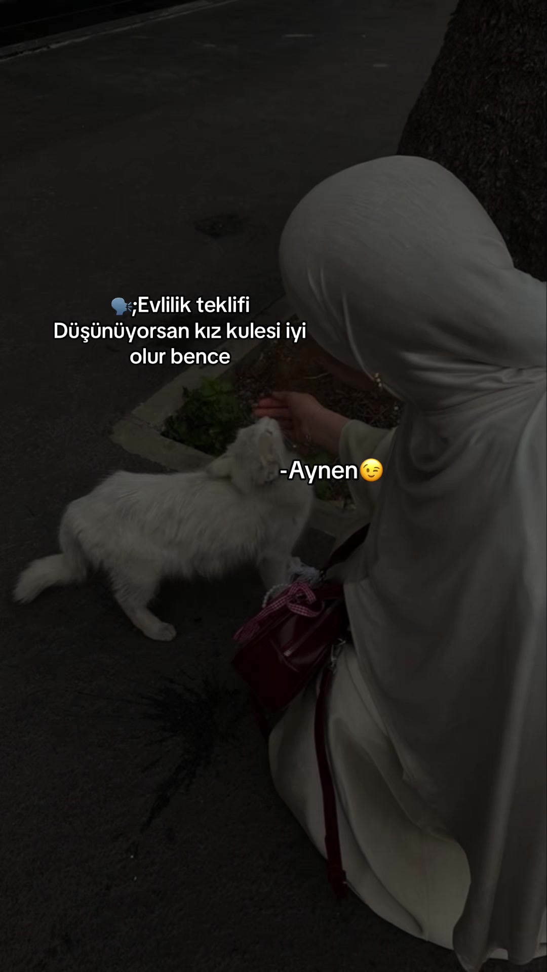 @𝓜♡