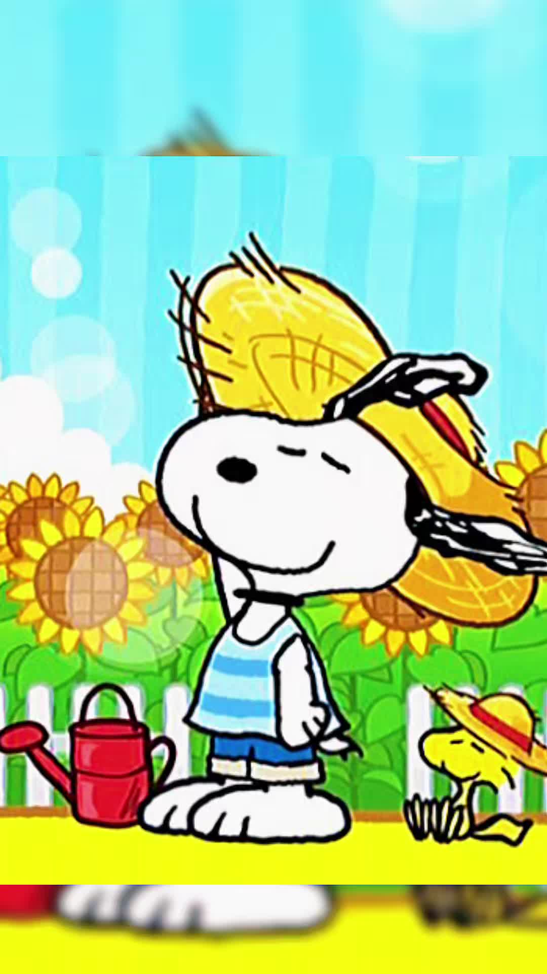 @Videos Creativos
