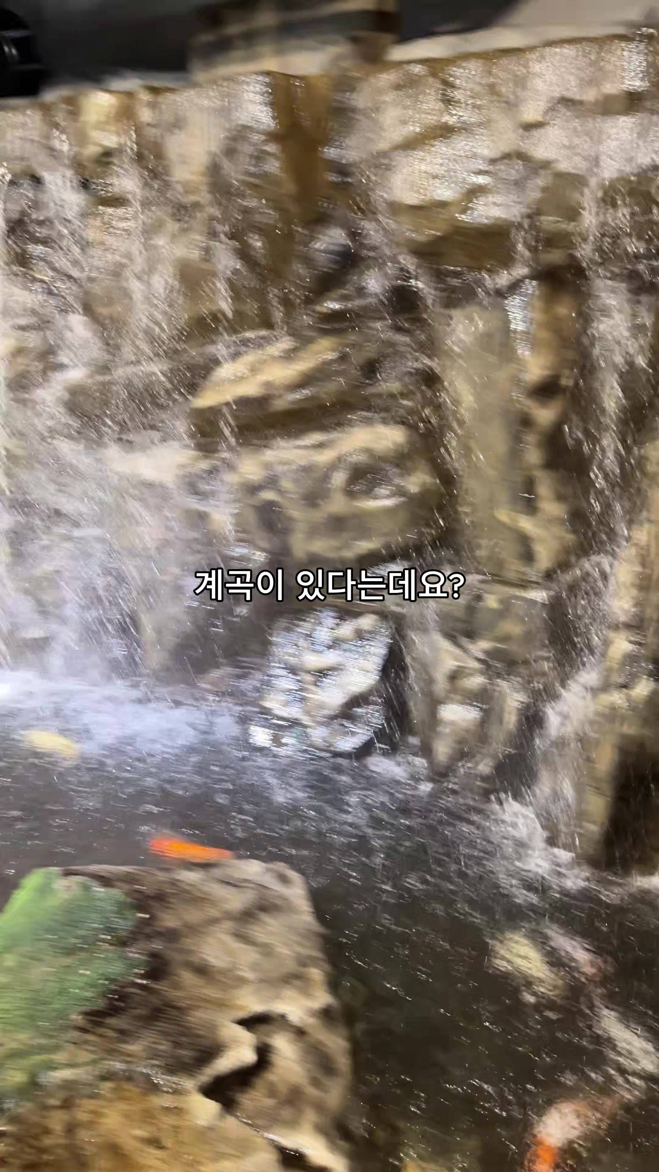 @몰빵